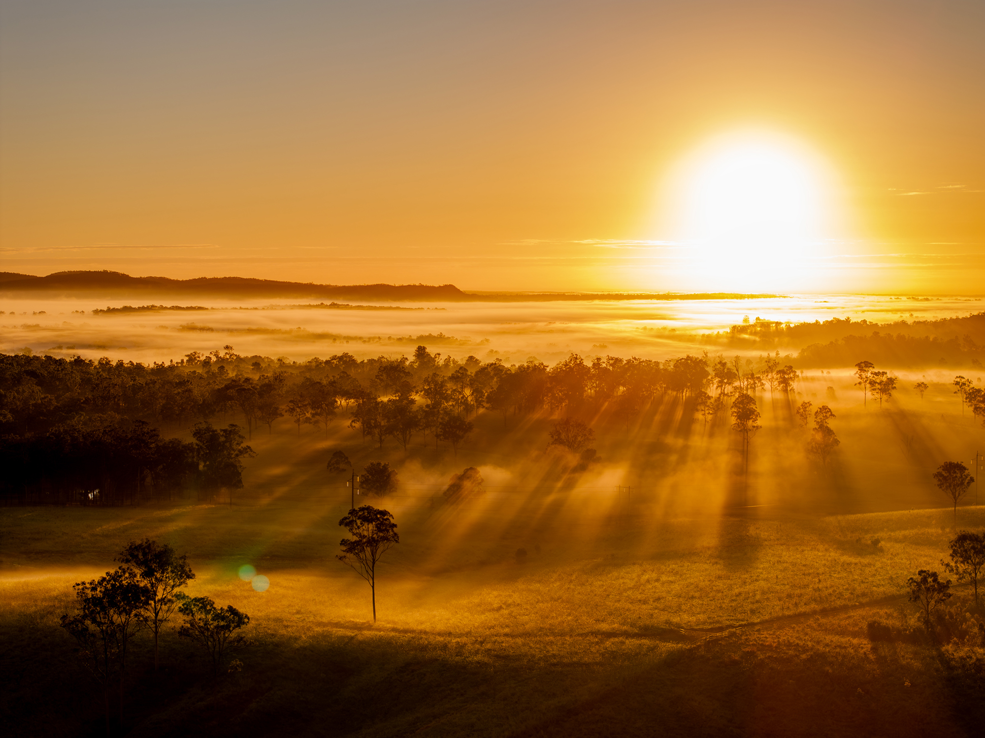 Nuffield Australia