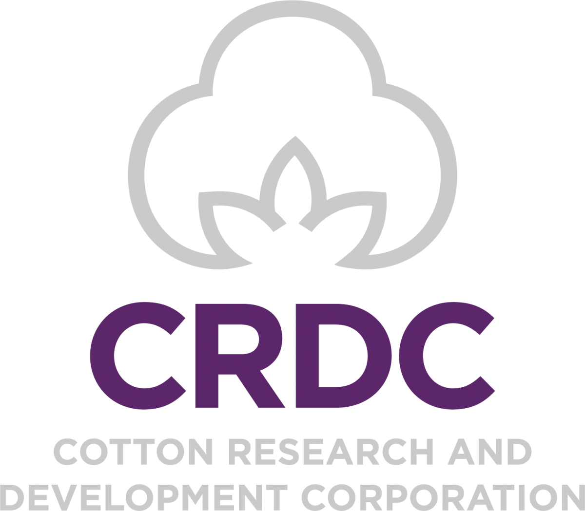 Cotton Industry Scholarship
