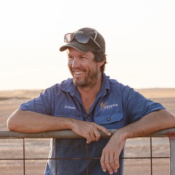 Andrew Todd
